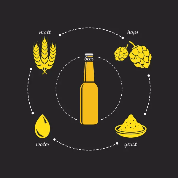 A diagram presents beer ingredients: malt, hops, water, and yeast, linked to a centered beer bottle.